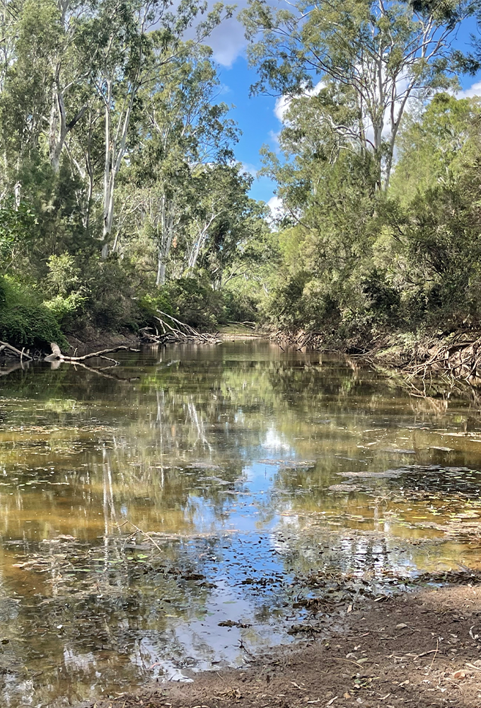 Community Consultation 2 Community-Consultation-Servives-Ground-and-Water-Australia