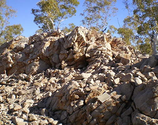 Hydrogeological Field Mapping 4 Mount Isa Project Ground and Water